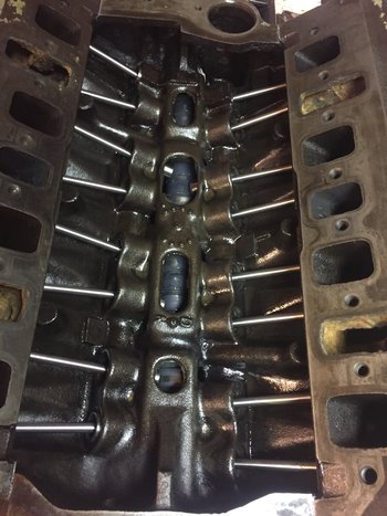 Pushrods in.JPG