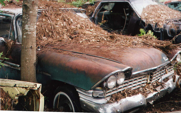 right side tree in fender.jpg
