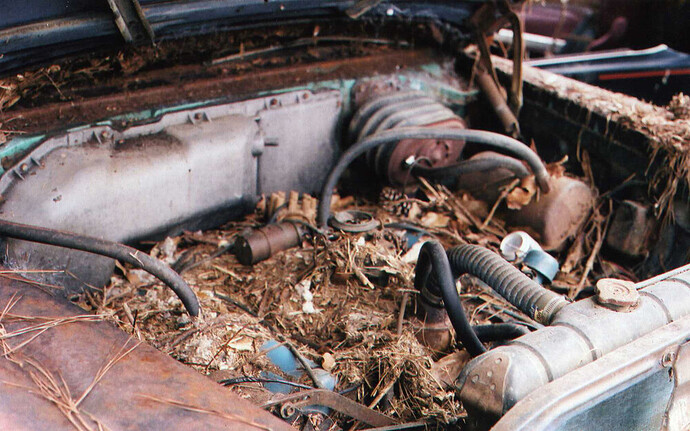 engine.jpg