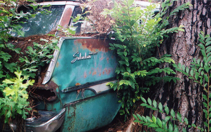 right rear.jpg
