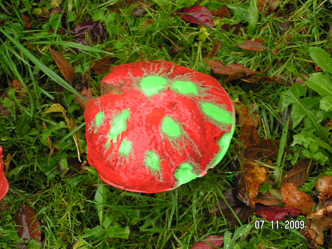 PICT0159.JPG