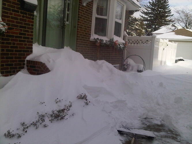 IMG00185-20101227-0943.jpg