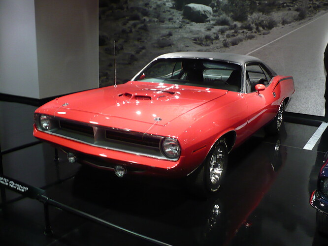 P1000172.JPG
