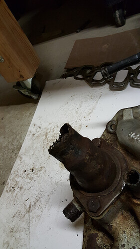 20150611_110408.jpg