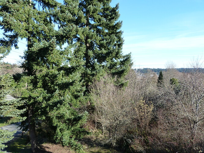 P1000152.JPG