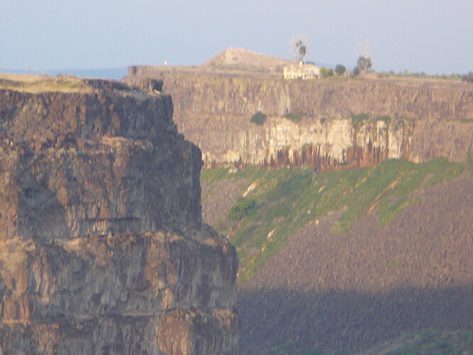 P1000155.JPG