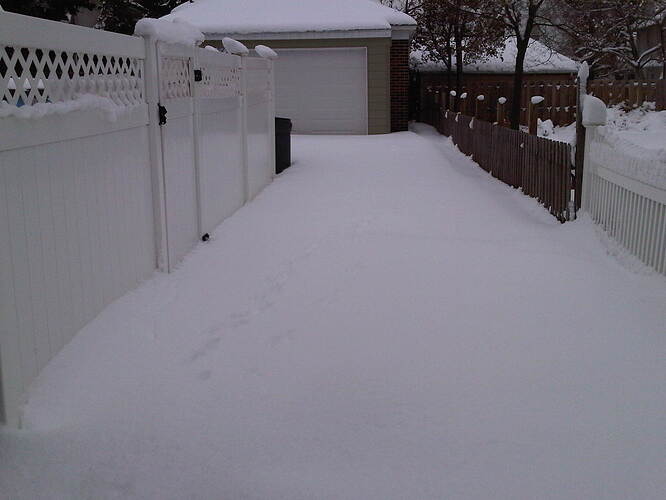 IMG00015-20110128-1106.jpg
