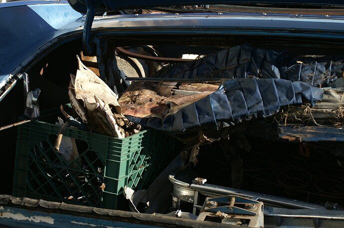 Dick's 59 Belvedere 012.JPG