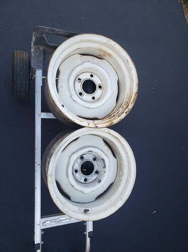 491242855_10233386105781926_5126354746837888984_n