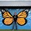 Dan_MacDonald
